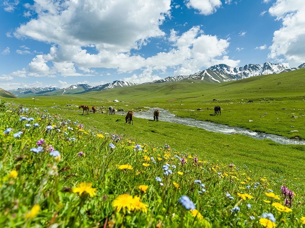 Horses on summer pasture The Suusamyr plain-a high valley in Tien Shan Mountains-Kyrgyzstan art print by Martin Zwick for $57.95 CAD